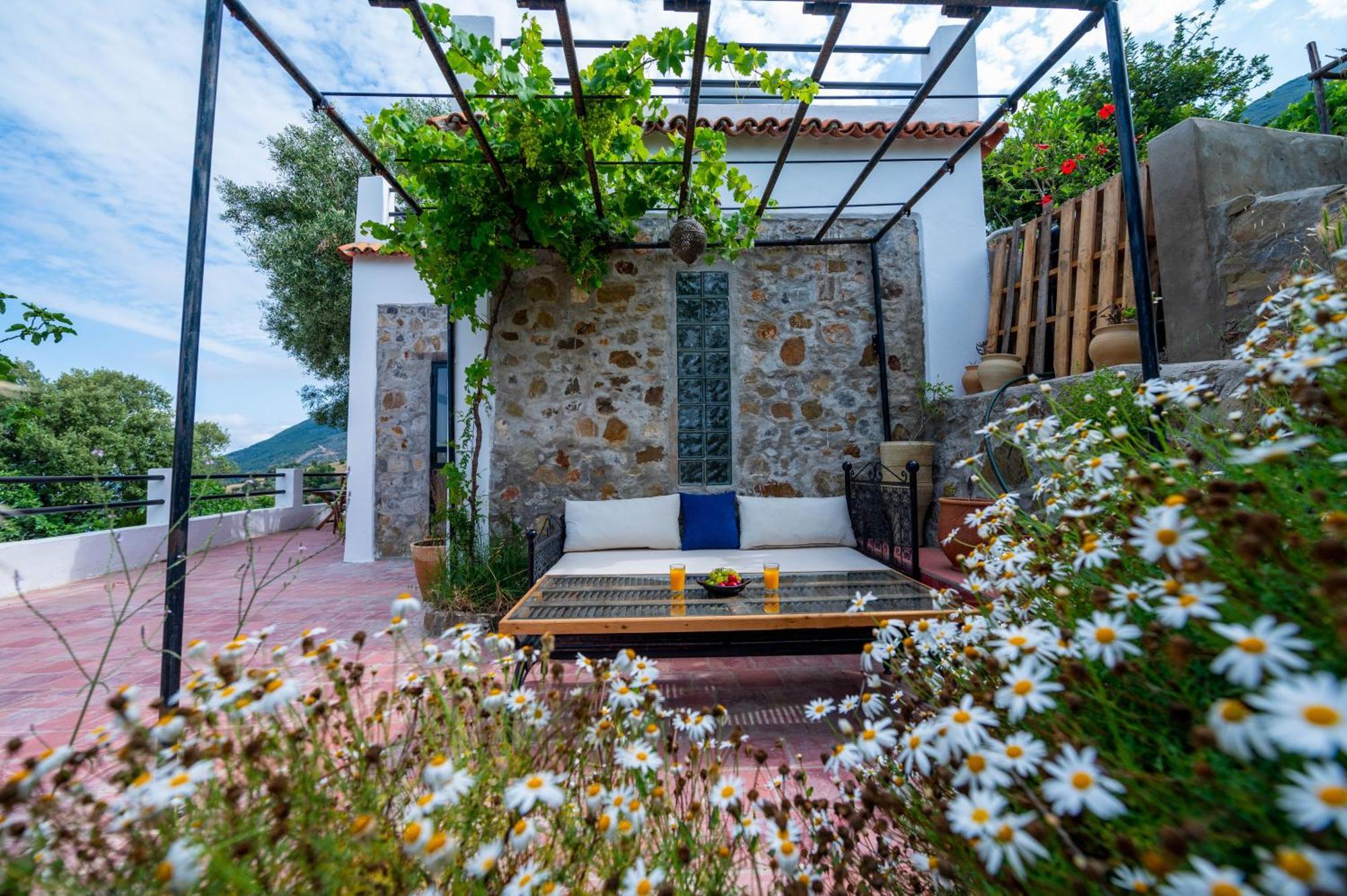 Farm Finn Chefchaouen Buitenkant foto